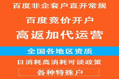SEM代运营服务公司案例分析：数据驱动营销策略